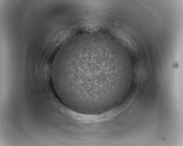 X0000098000034200804021042