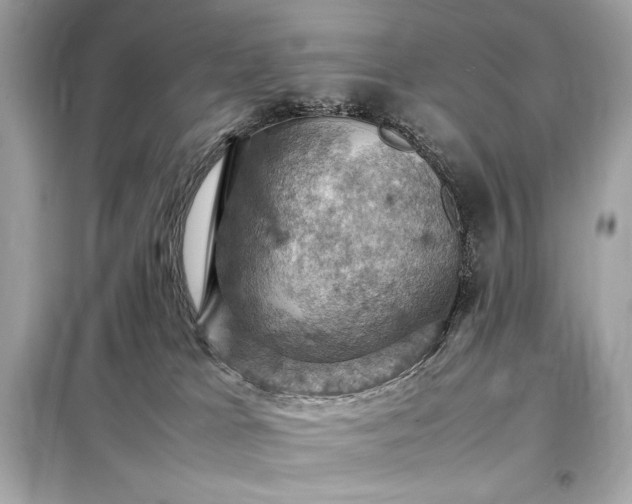 X0000098000037200804021042
