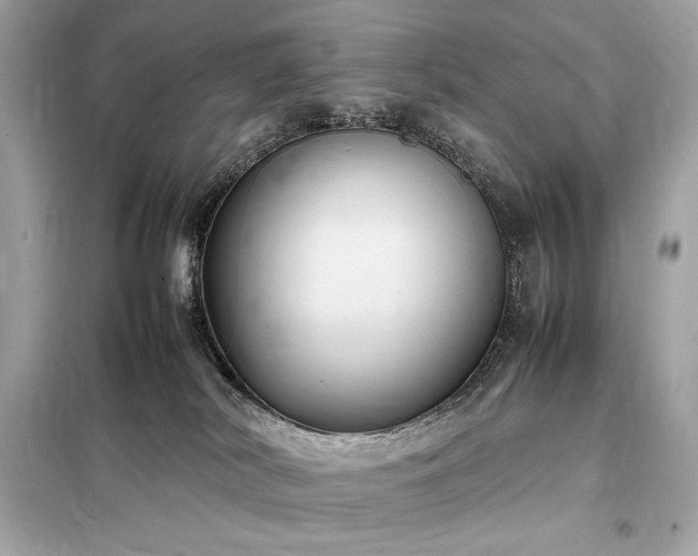 X0000098000038200804021042