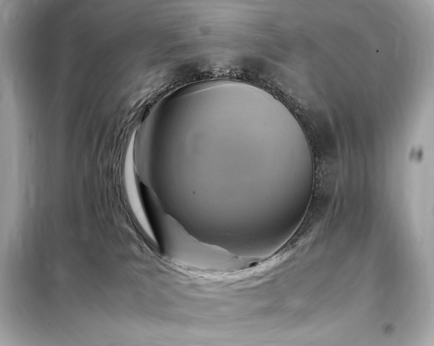 X0000098000039200804021042