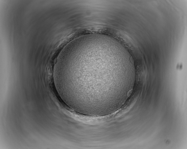 X0000098000040200804021042
