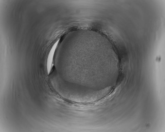 X0000098000041200804021042