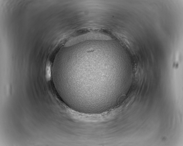 X0000098000042200804021042
