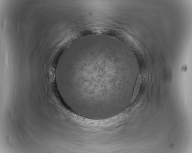 X0000098000043200804021042