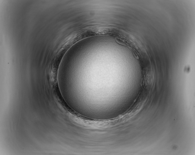 X0000098000044200804021042