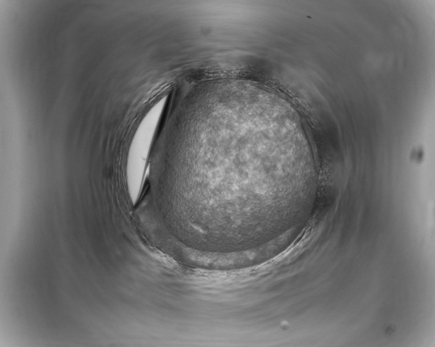 X0000098000045200804021042