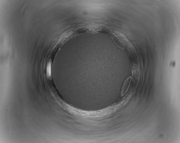 X0000098000046200804021042