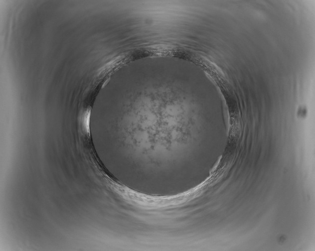 X0000098000047200804021042
