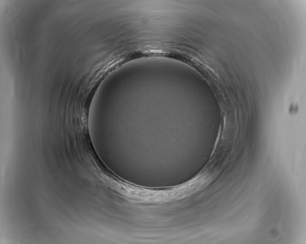 X0000098000048200804021042