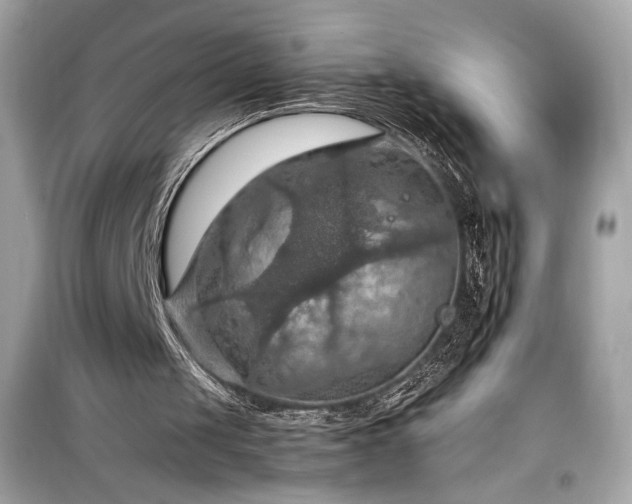 X0000098000049200804021041
