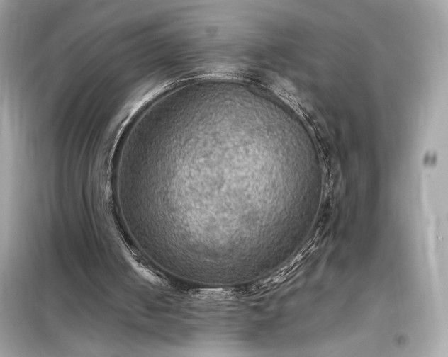 X0000098000050200804021041