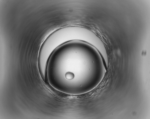 X0000098000052200804021041
