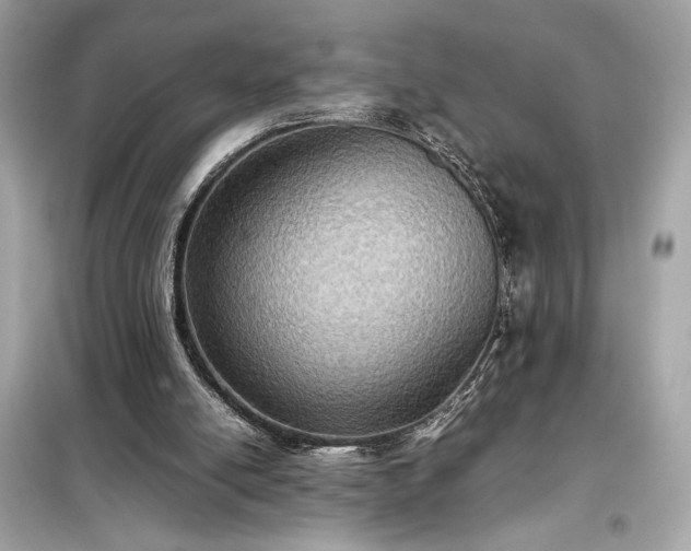 X0000098000054200804021041