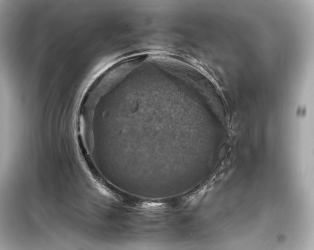 X0000098000055200804021041