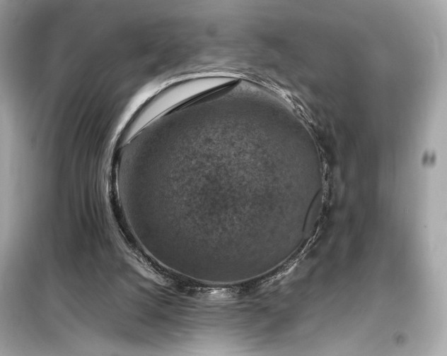 X0000098000056200804021041