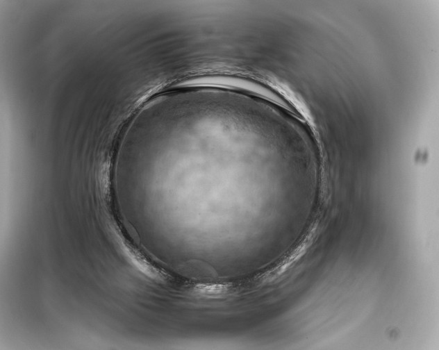 X0000098000057200804021041