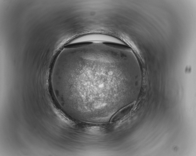 X0000098000058200804021041