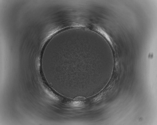 X0000098000059200804021041