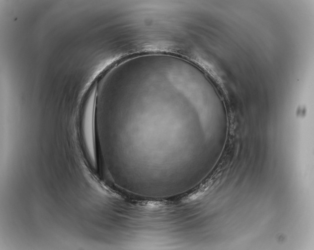X0000098000060200804021041