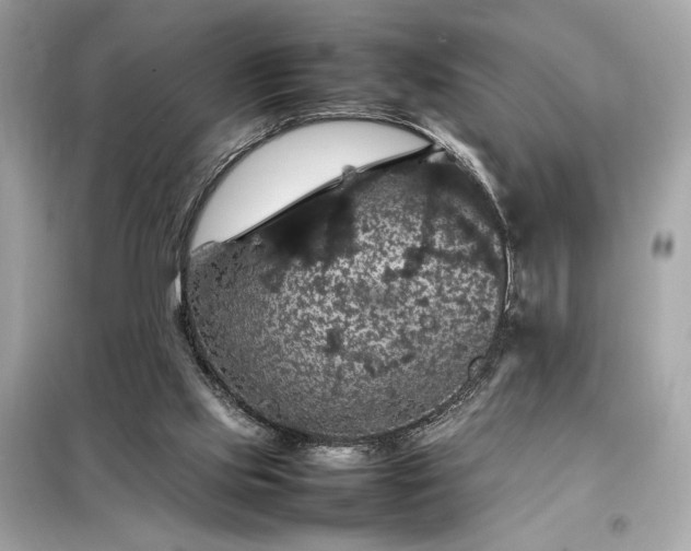 X0000098000061200804021041