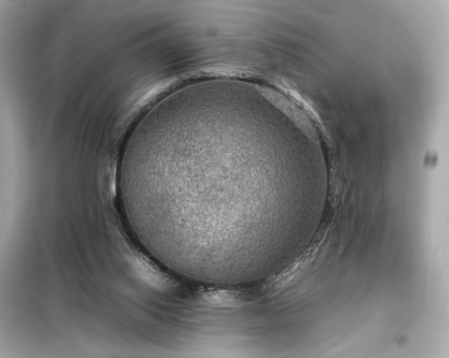 X0000098000062200804021041