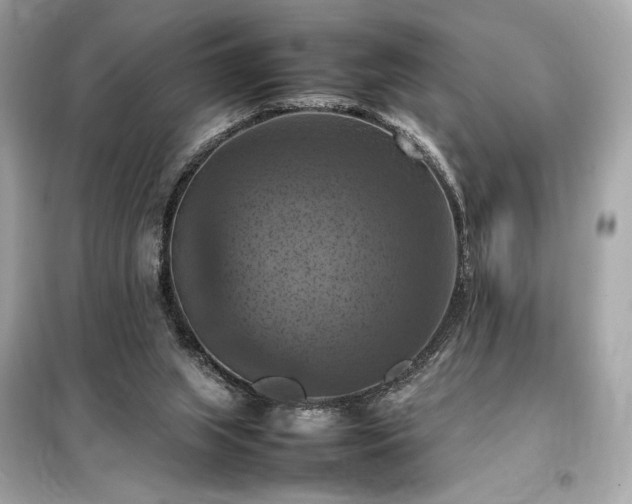 X0000098000063200804021041