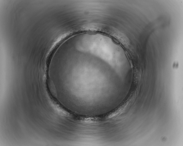 X0000098000064200804021041