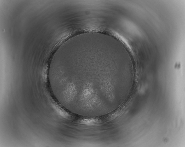 X0000098000065200804021041