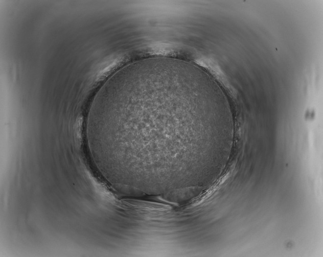 X0000098000066200804021041