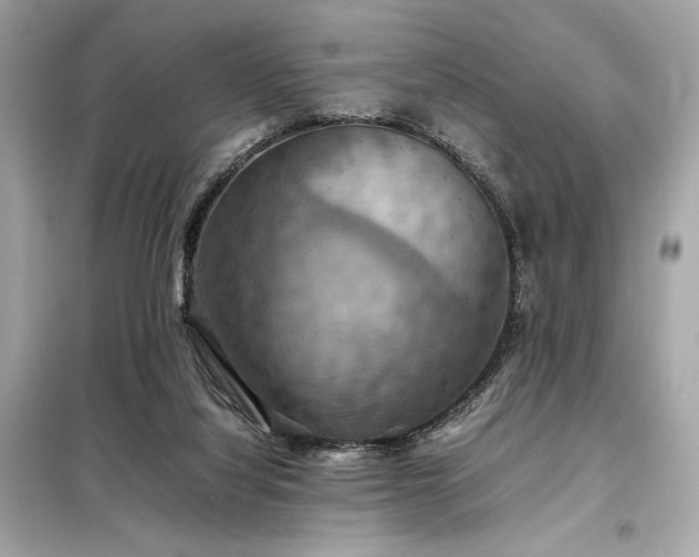 X0000098000068200804021041