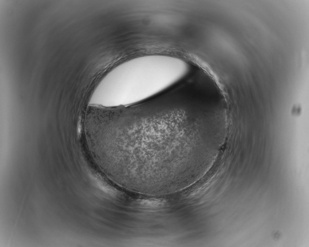 X0000098000069200804021041