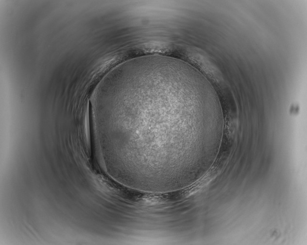 X0000098000070200804021041