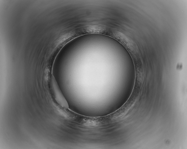 X0000098000071200804021041