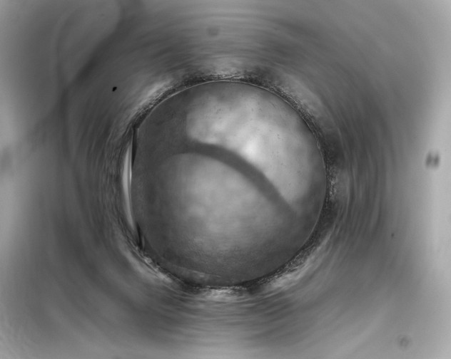 X0000098000072200804021041