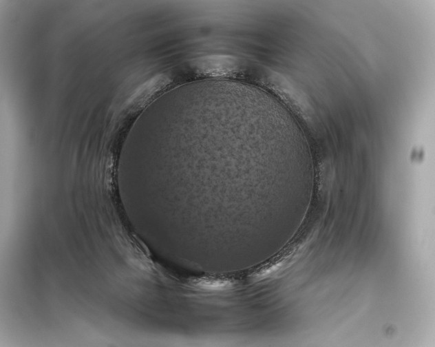 X0000098000073200804021041