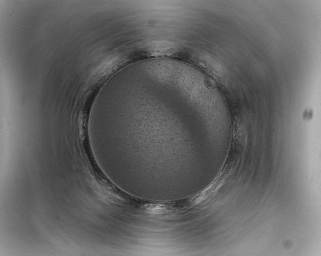 X0000098000074200804021041