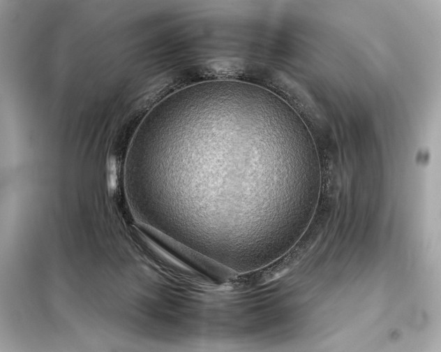 X0000098000075200804021041