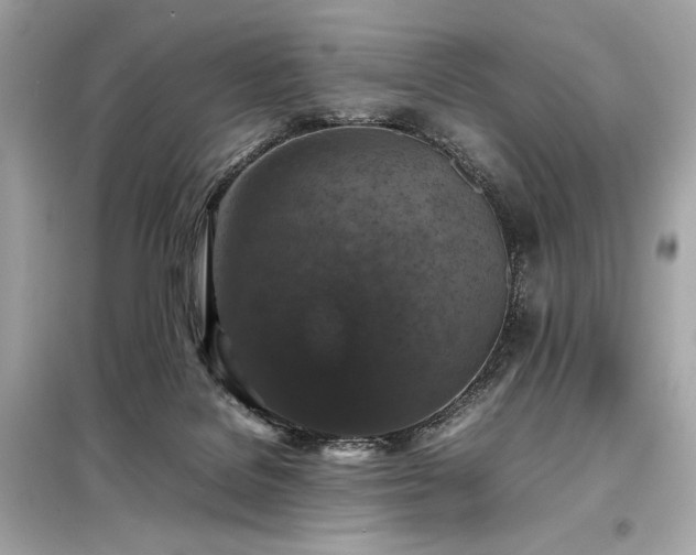 X0000098000076200804021041