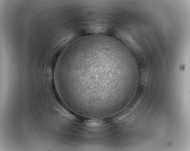 X0000098000077200804021041