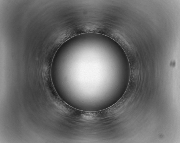 X0000098000079200804021041