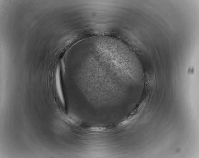 X0000098000080200804021041