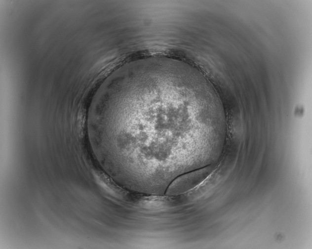 X0000098000082200804021041