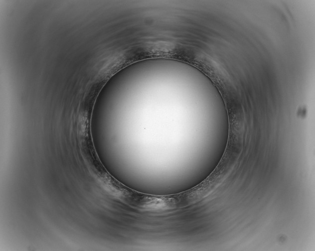 X0000098000083200804021041