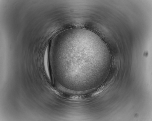 X0000098000084200804021041