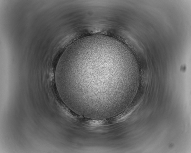X0000098000085200804021041