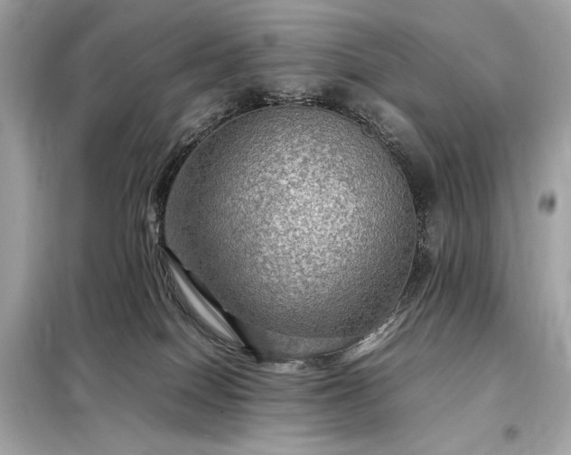 X0000098000086200804021041
