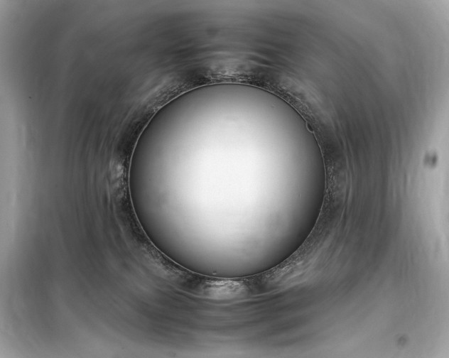 X0000098000087200804021041