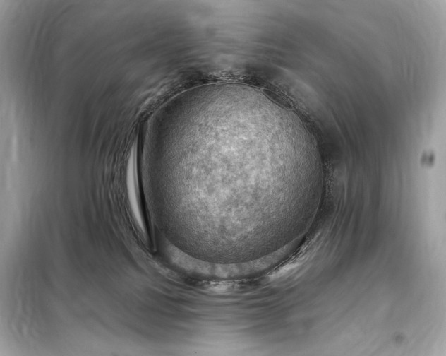 X0000098000088200804021042