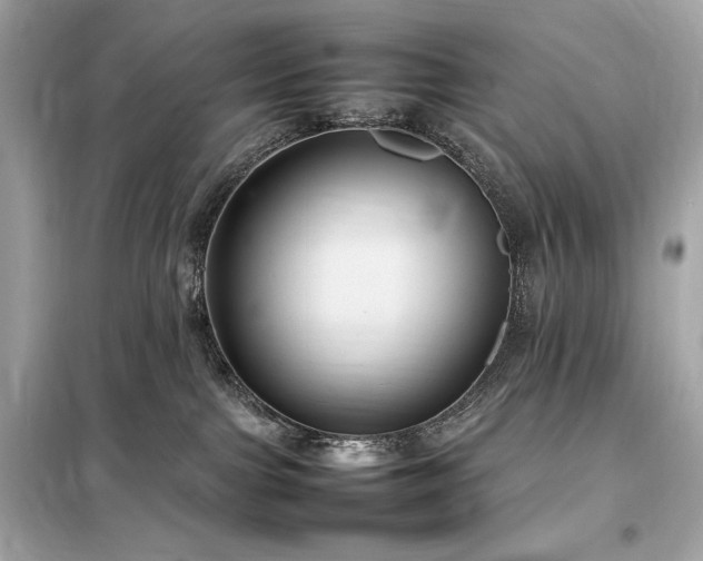X0000098000091200804021042