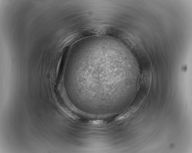 X0000098000092200804021042